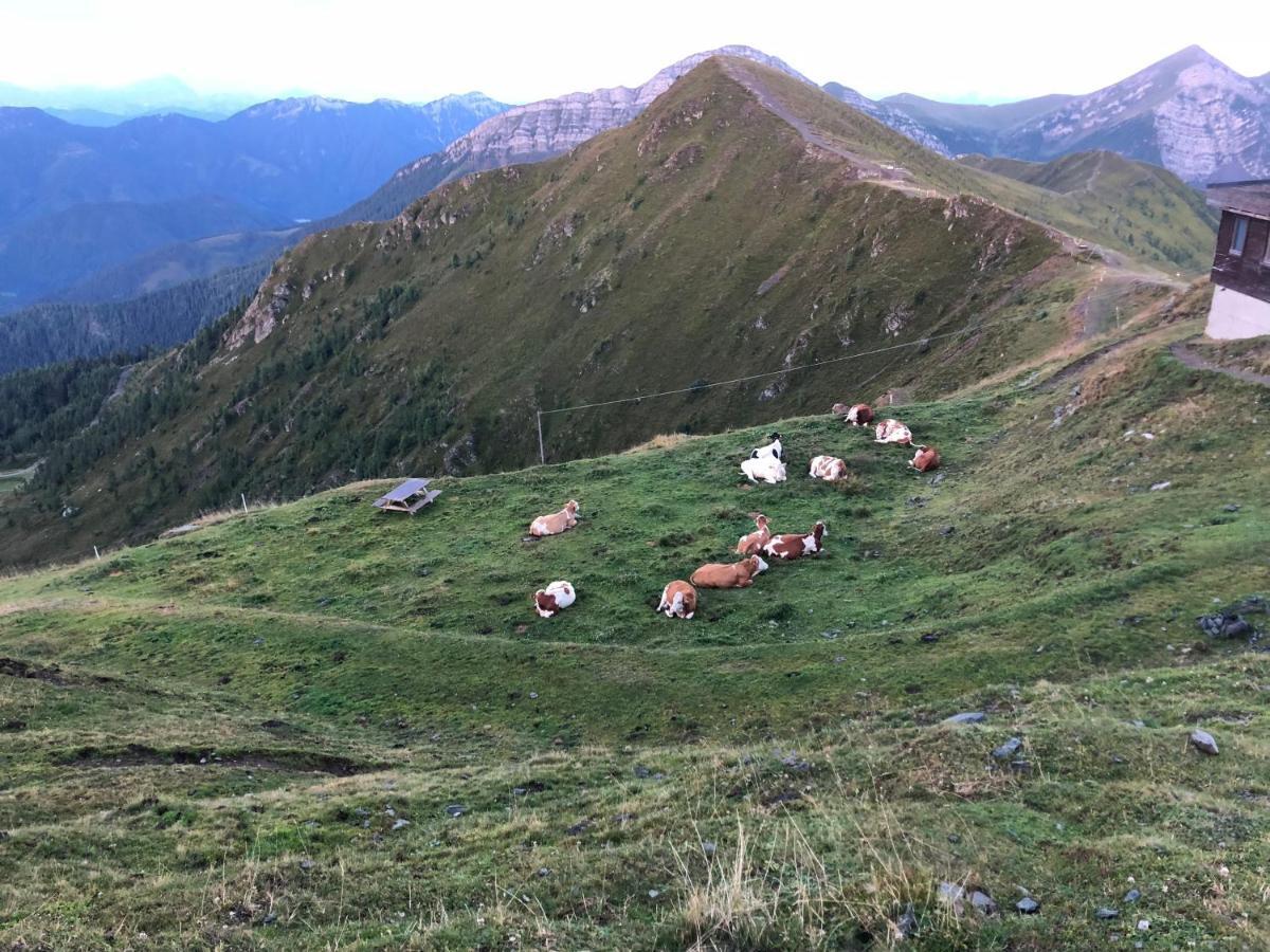 Appartement Haus Mup à Spittal an der Drau Extérieur photo